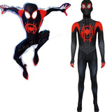 Spiderman: Into the Spiderverse Cosplay