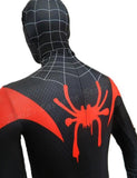 Spiderman: Into the Spiderverse Cosplay